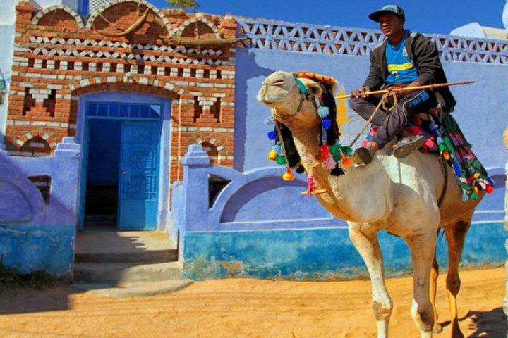 Private Guided Day Tour to Aswan and Nubian Village from Luxor by Car