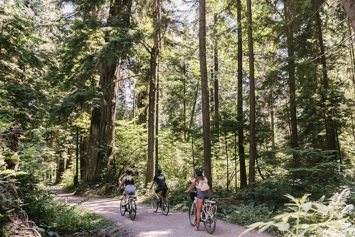 The Stanley Park Bicycle Tour by Cycle City Tours