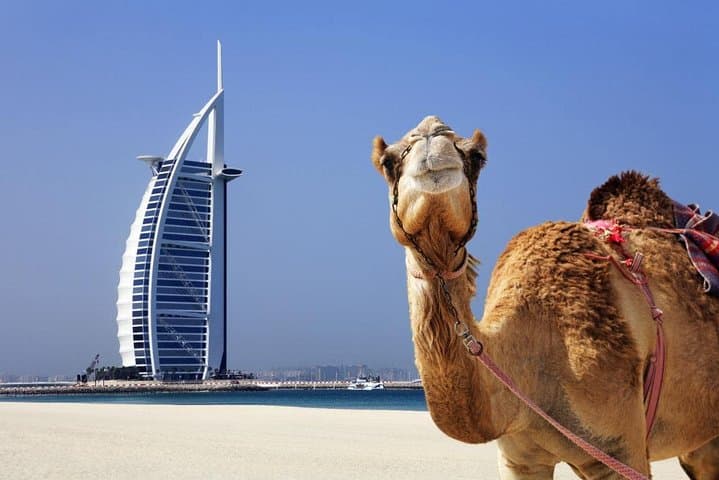 Half Day City Tour with Dubai Frame Tickets