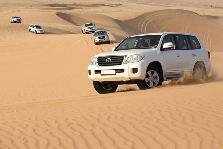 PRIVATE Dubai Desert Safari with BBQ Dinner and Shows