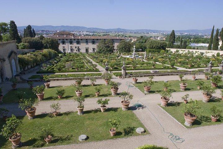 Private Tour of the Medici Family Villa in Florence