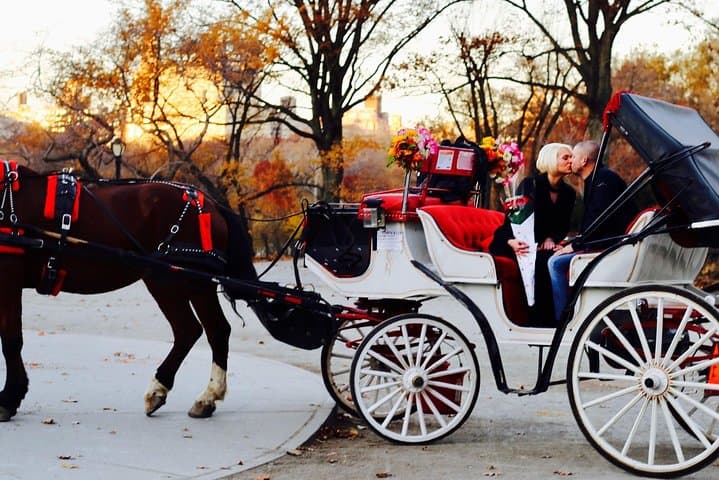 45 min Long VIP Central park carriage ride