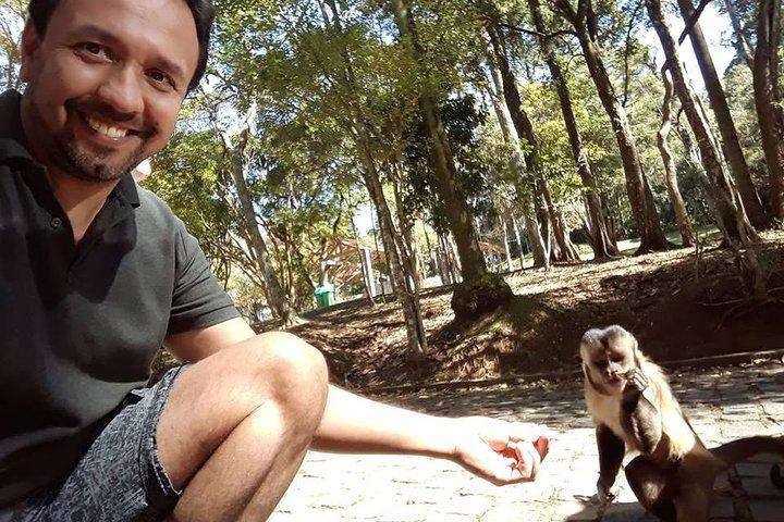Ecological walk in sao paulo
