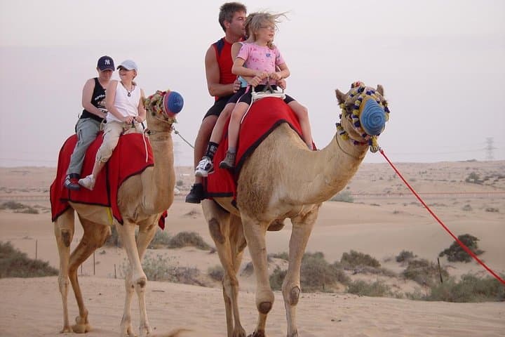 Dubai Desert Safari with BBQ Dinner, Camel Ride, and Shows