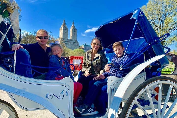 45 min Long VIP Central park carriage ride