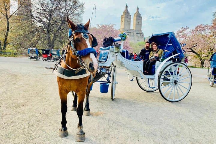 45 min Long VIP Central park carriage ride