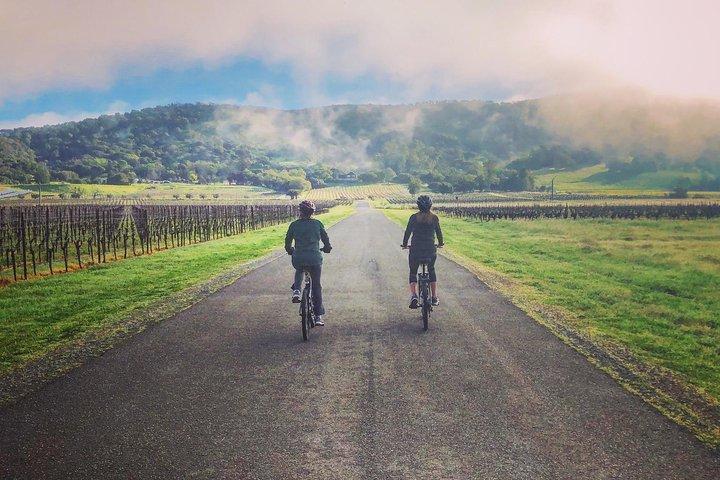 Sonoma Valley Pedal Assist Bike Tour with Lunch