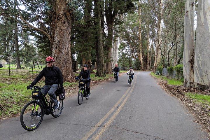 Sonoma Valley Pedal Assist Bike Tour with Lunch