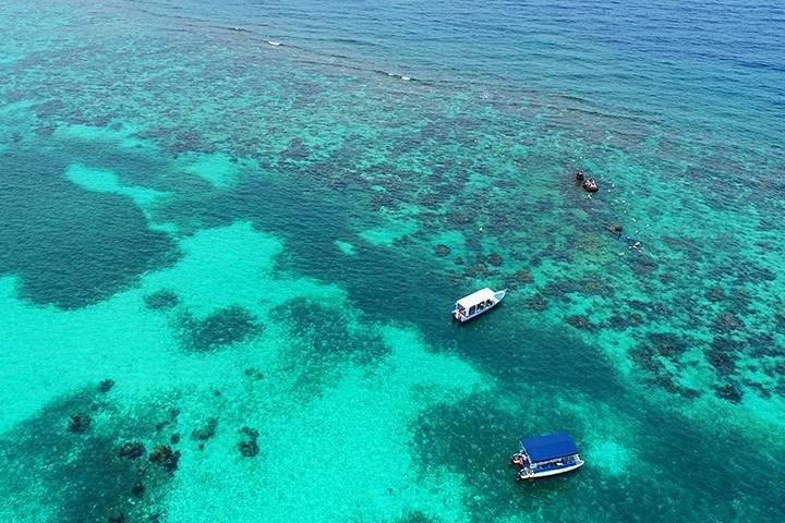 Roatan 3 Stop Snorkeling Adventure, Shipwreck, Starfish & Blue Channel