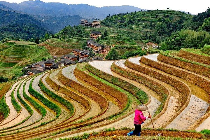 Longji Rice Terraces Day Tour from Yangshuo hotel
