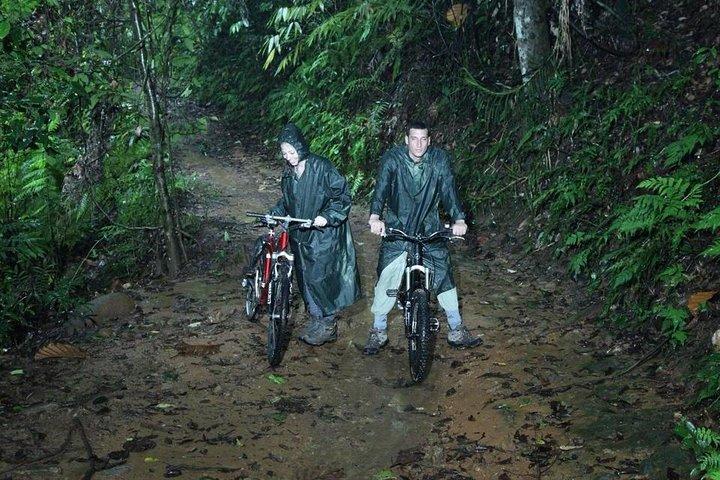 Sinharaja' rainforest - Discovery Tour (half day)