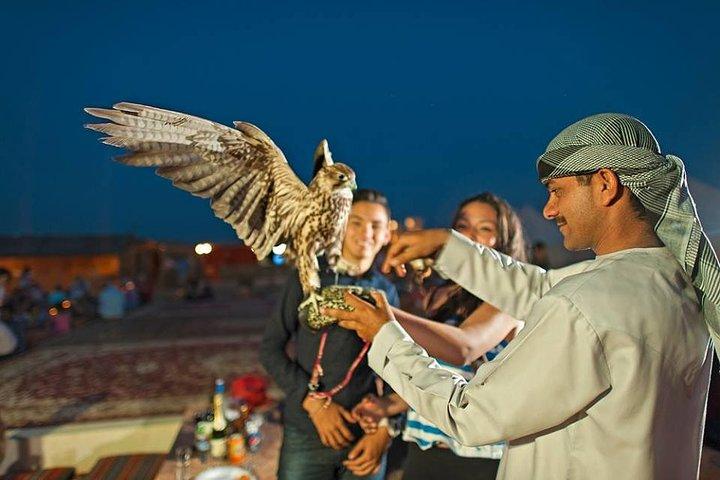 Evening Desert Safari with BBQ Dinner