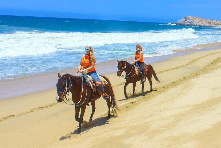 Los Cabos Horseback Riding and ATV Tour