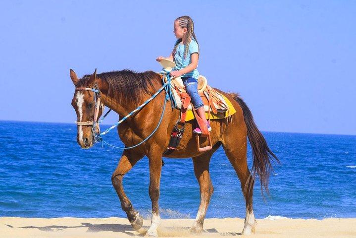Los Cabos Horseback Riding and ATV Tour