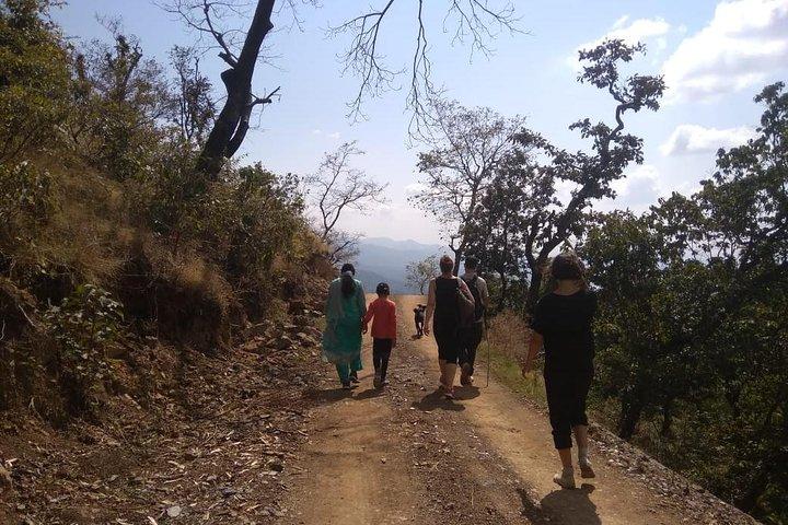 Rishikesh: Secret Waterfall, Offbeat Village & Ganges Views