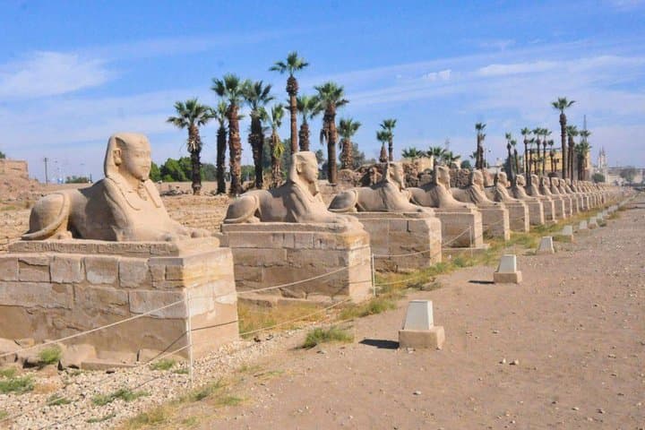 Half-Day Private Tour of Luxor’s East Bank: Karnak &Luxor Temples