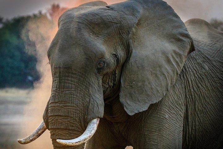 3 Days 2 nights Amboseli Daily Departures