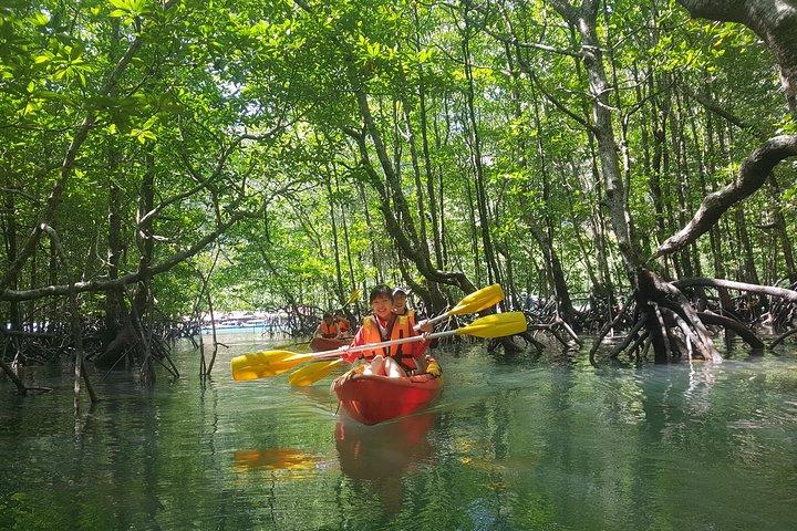 6 Hours Kilim Mangrove Kayaking Sharing Tour (Wt Lunch & Pickup)
