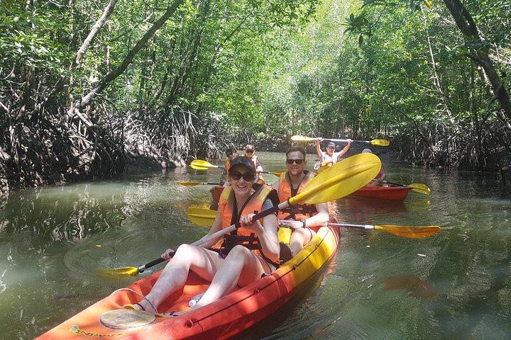 6 Hours Kilim Mangrove Kayaking Sharing Tour (Wt Lunch & Pickup)