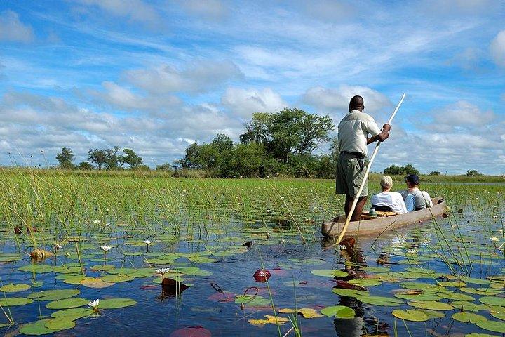 Victoria Falls, Chobe and Okavango Delta 7 nights trip