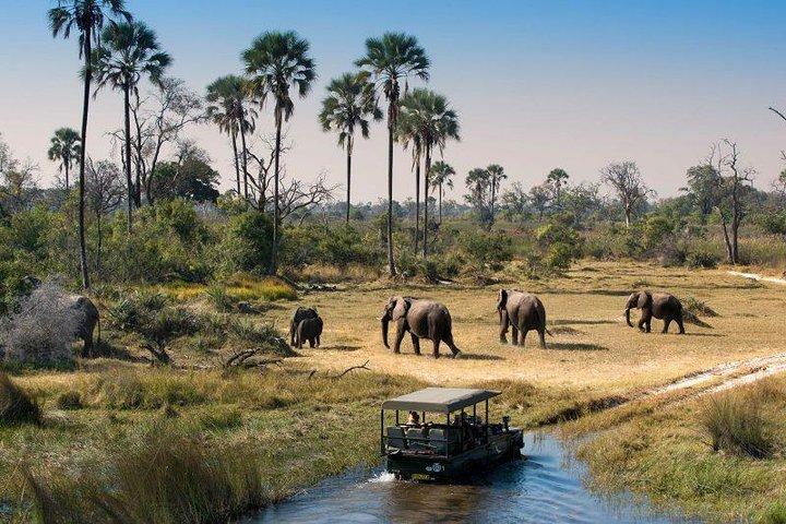 Victoria Falls, Chobe and Okavango Delta 7 nights trip