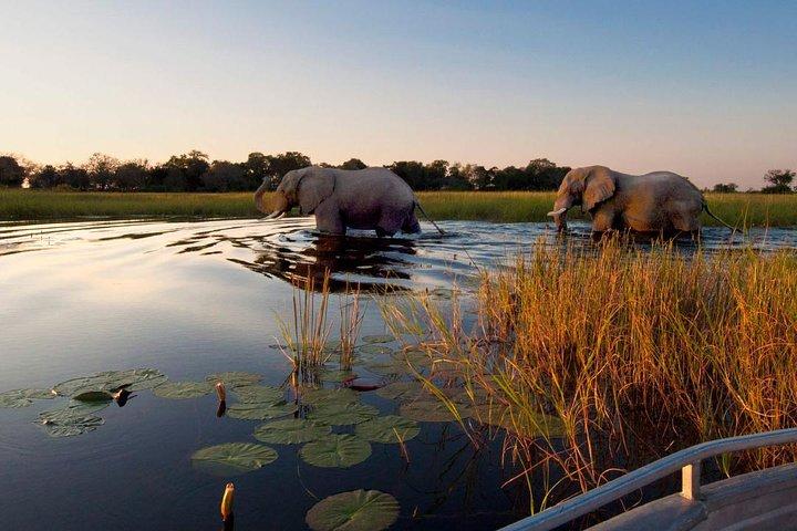 Victoria Falls, Chobe and Okavango Delta 7 nights trip