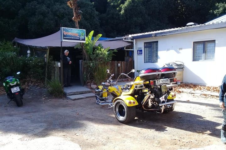Booze Cruise Trike Tour Cape Town