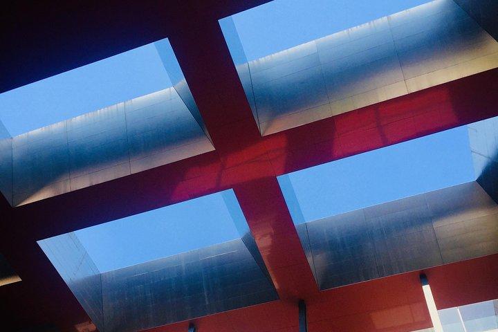 Guided tour of the Reina Sofia Museum in Madrid, entrance fees and pick up at the hotel.