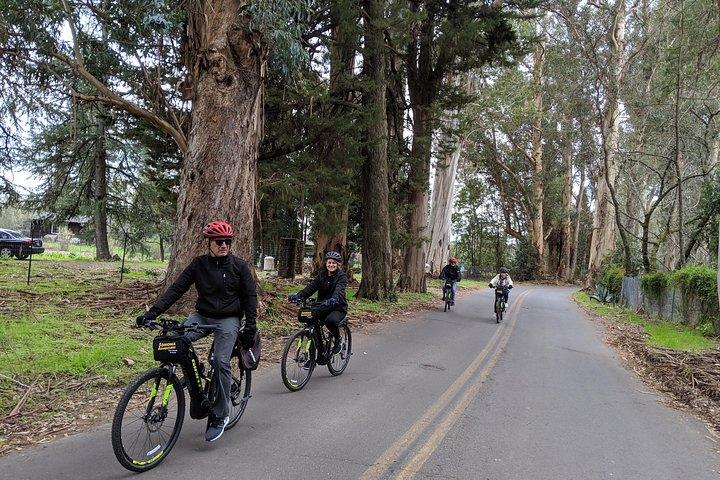 Behind-the-Scenes Food and Wine E-Bike Tour