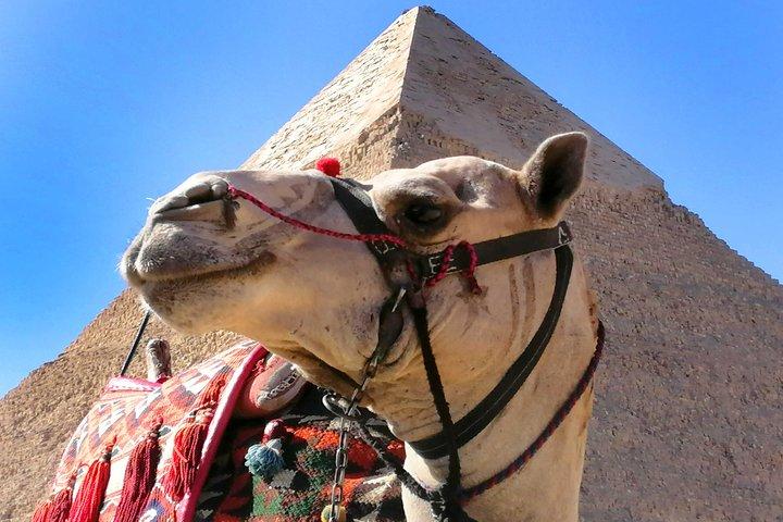 Pyramids of Giza & Saqqara complex