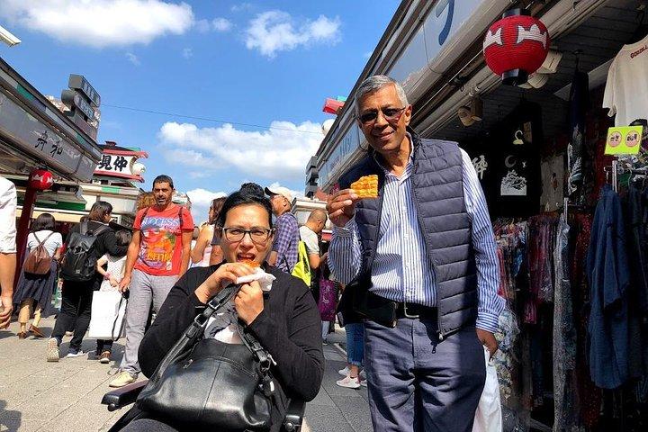 Full-Day Accessible Tour of Tokyo for Wheelchair Users