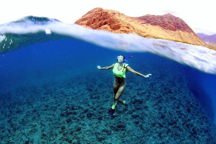 Luxury Snorkel Cruise with Dolphin Watch and Local Buffet