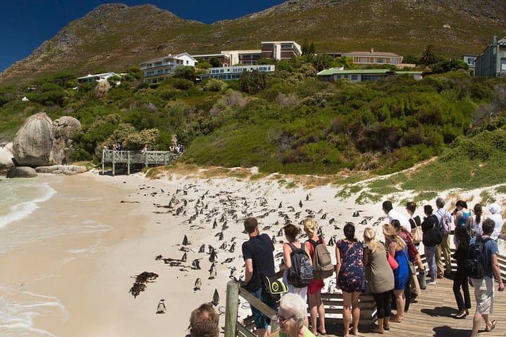 Cape Town Private Robben Island and Cape point Tour