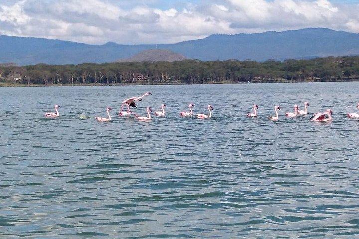 Nairobi: Hell's Gate National Park & Lake Naivasha Day Trip
