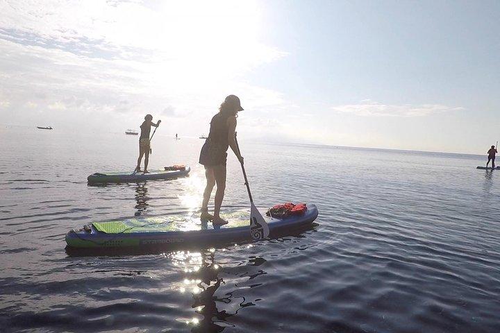 Santorini Stand-Up Paddle and Snorkel Adventure