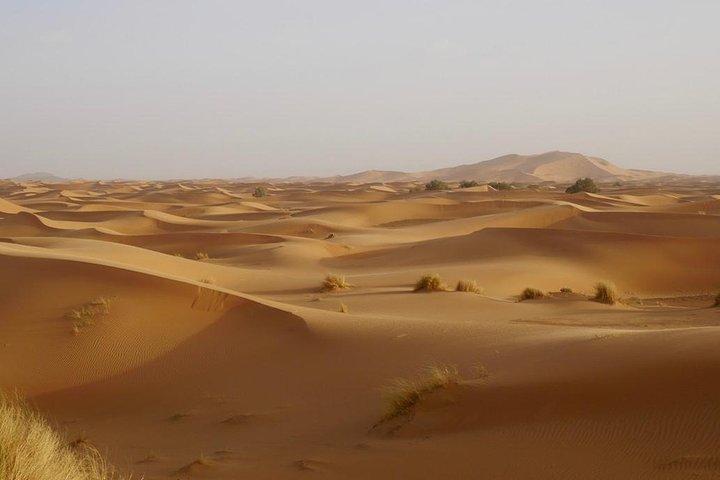 3 Days Excursion - 2 Night to Merzouga from Marrakech