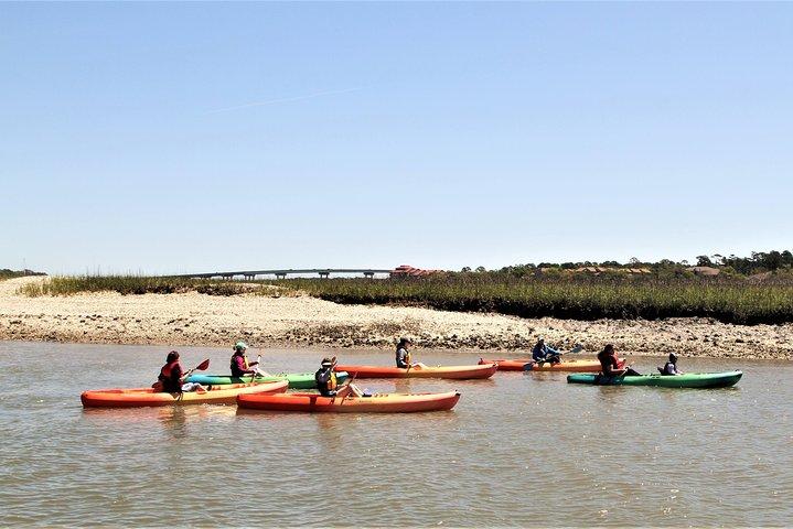 Hilton Head Guided Kayak Eco Tour