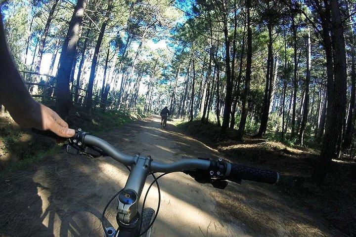 Private Mountain Biking in Sintra-Cascais Park, Lisbon