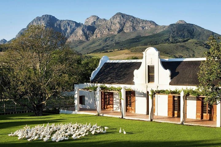 Cape town Private - Stellenbosch Wine Tasting Tour