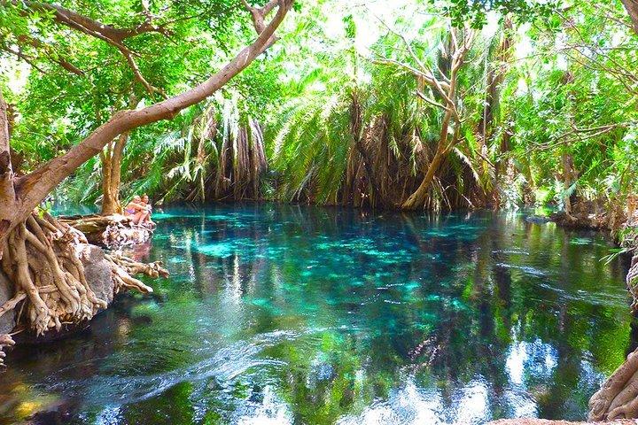 Chemka Hot Spring & Materuni Waterfalls with Sundowner Experience