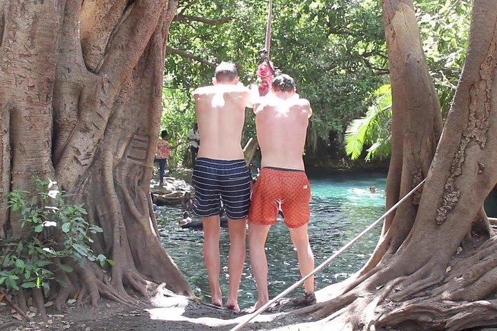 Chemka Hot Spring & Materuni Waterfalls with Sundowner Experience