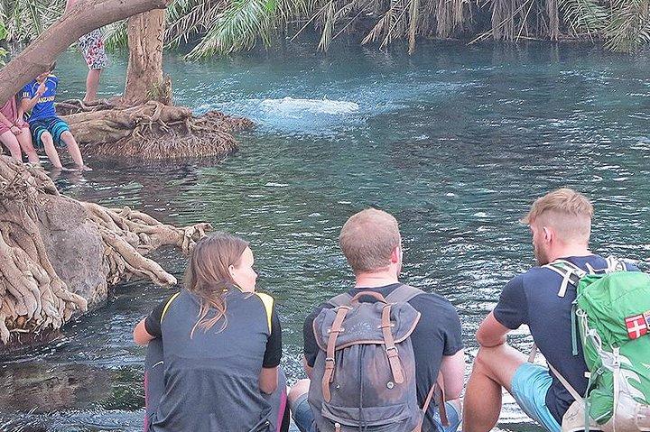 Chemka Hot Spring & Materuni Waterfalls with Sundowner Experience