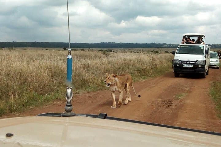 2-Day Amboseli National Park Safari- Daily Departures
