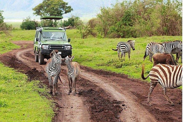 3 Day Amboseli National Park All-Inclusive Camping Safari