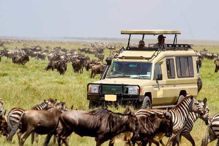 21 Days Best of Kenya & Tanzania Safari, Mount Kilimanjaro Hike & Diani Beach