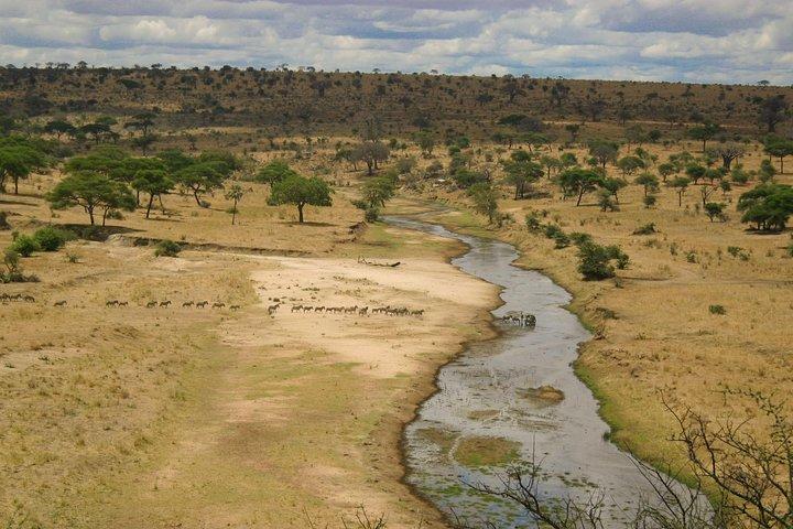 Tarangire National Park Day Tour