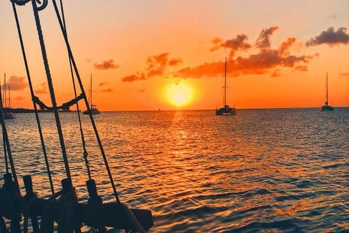 Sunset & Champagne Cruise on a Classic Schooner with boat dogs