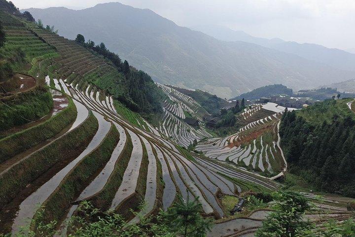 Longji Rice Terraces Day Tour from Yangshuo hotel
