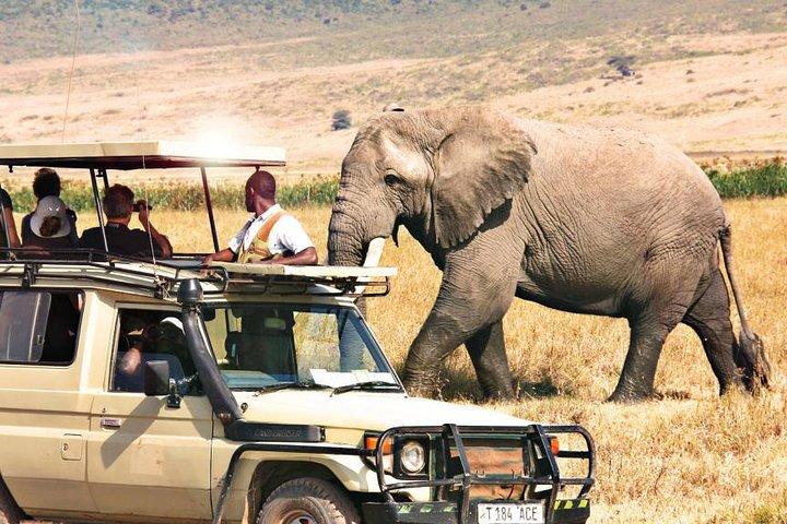 21 Days Best of Kenya & Tanzania Safari, Mount Kilimanjaro Hike & Diani Beach
