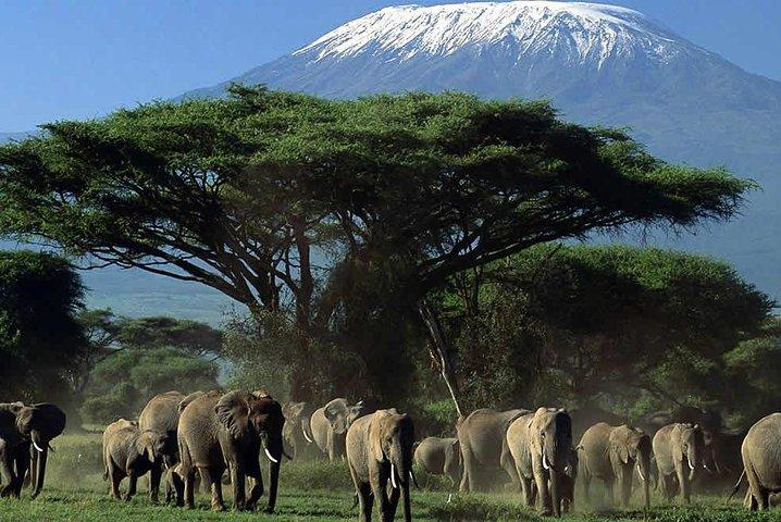 3 Day Amboseli National Park All-Inclusive Camping Safari